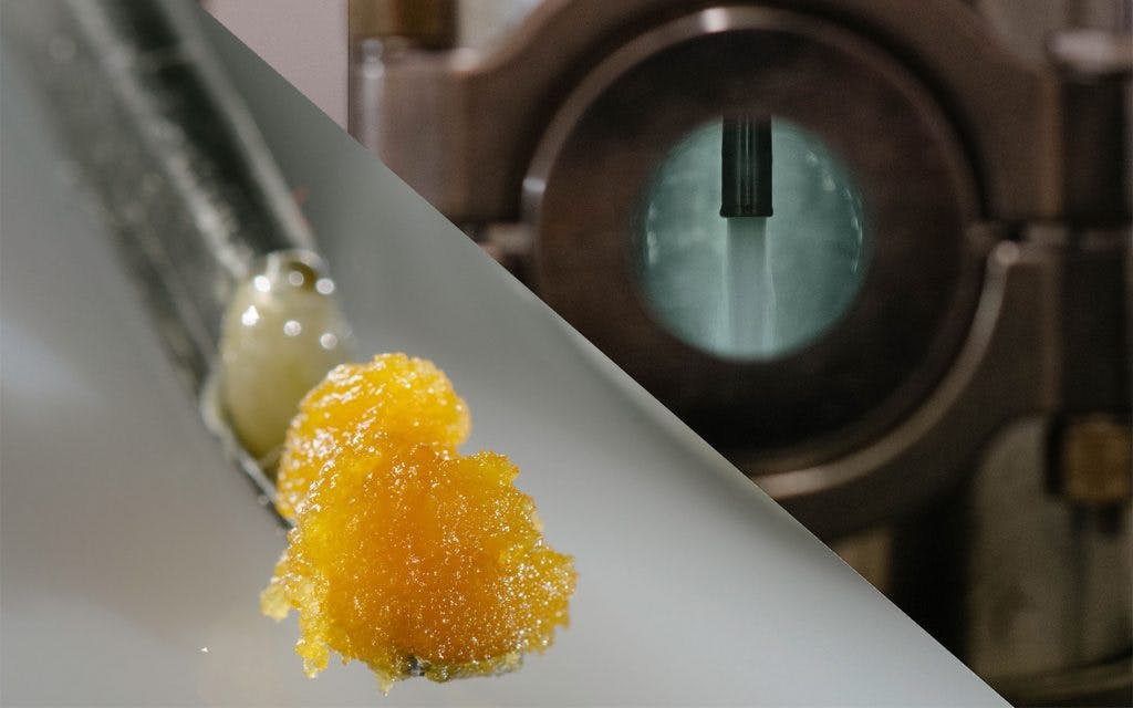 solvent extraction, cannabis concentrate, marijuana concentrate